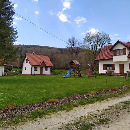 Appartement Bieszczadzkie Brzegi à Ustrzyki Dolne Extérieur photo